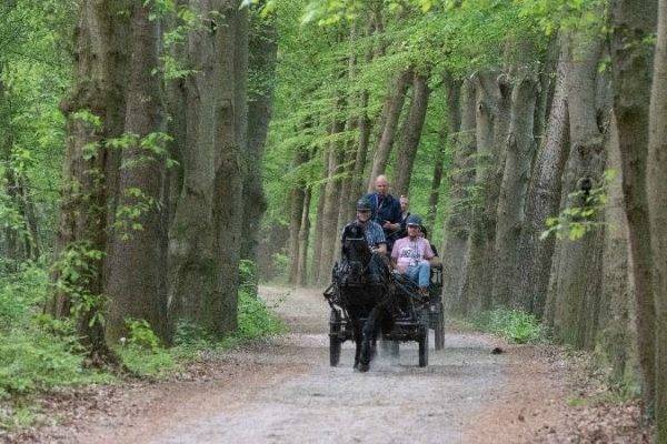 Persoonlijke coaching tijdens rit met paard