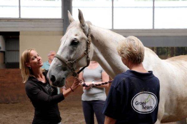 Coaching met behulp van paard