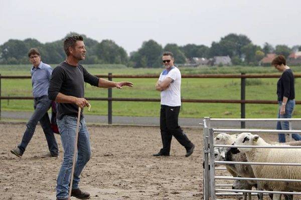 Samenwerken om kudde schapen vertrouwen te winnen